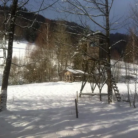 Apartment Haus Edeltraud: Tranquil Black Forest Retreat With Cycling Rheinfelden (Baden)