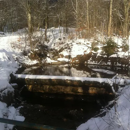 Haus Edeltraud Im Suedschwarzwald, Grosse, Helle, Ruhige Souterrain-whg, Hunde Geeignet, Mit 2 Fahrraedern, 3 Baeckereien Mit Fruehstueck, 2 Lebensmittel-, 1 Italien-pastalaeden, Kontakt Peter Heubueschl Aus Loerrach Daire Rheinfelden (Baden)