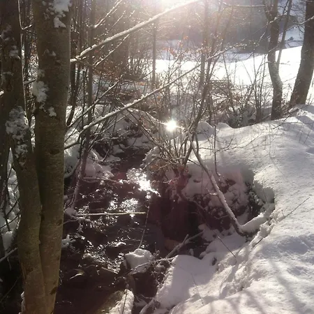 Haus Edeltraud Im Suedschwarzwald, Grosse, Helle, Ruhige Souterrain-whg, Hunde Geeignet, Mit 2 Fahrraedern, 3 Baeckereien Mit Fruehstueck, 2 Lebensmittel-, 1 Italien-pastalaeden, Kontakt Peter Heubueschl Aus Loerrach Rheinfelden (Baden)